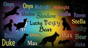 black dog names