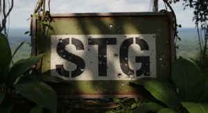 what does stg mean